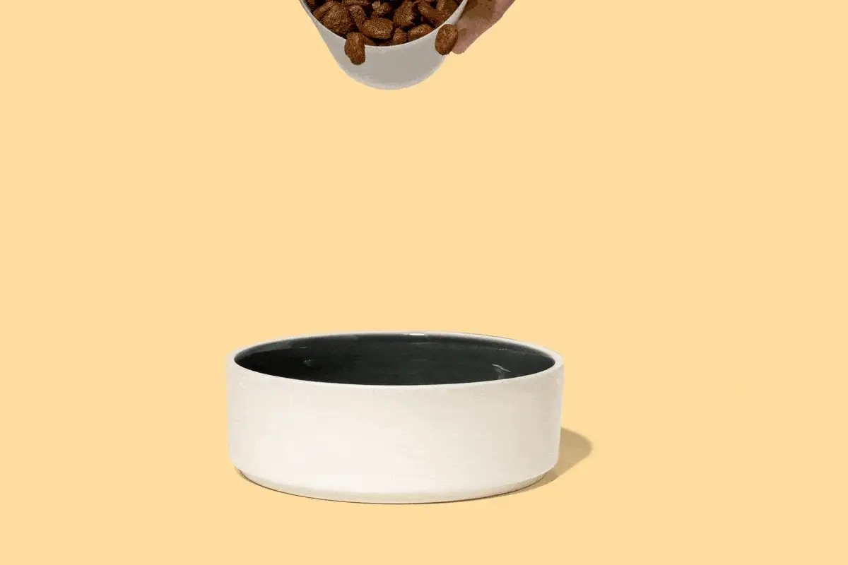 Cibo mini di pollo e tacchino fresco - Image 4