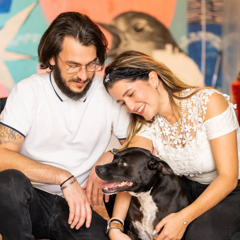 Cibo leggero su misura per il tuo cane - Image 3