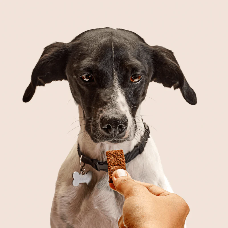 Free Weight Protect Snacks: Miele e Cannella - Image 4