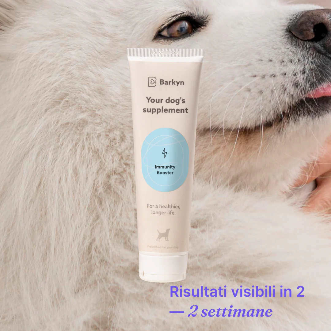 Integratore per Immunity Boost - Image 4