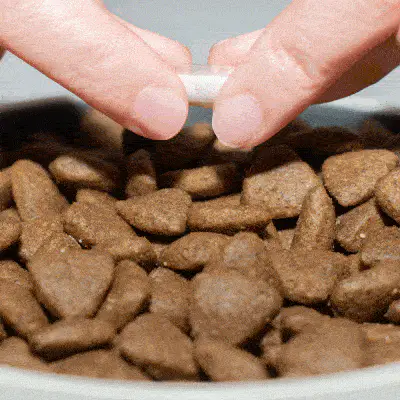 Probiotico Gut Defense - Image 3