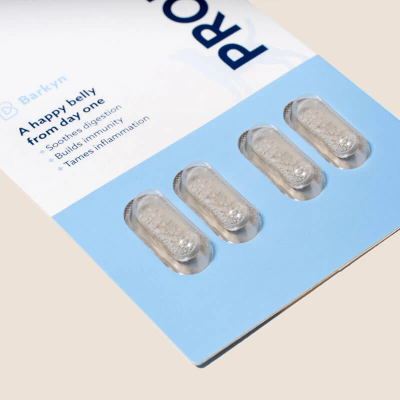 Probiotico Gut Defense - Image 5